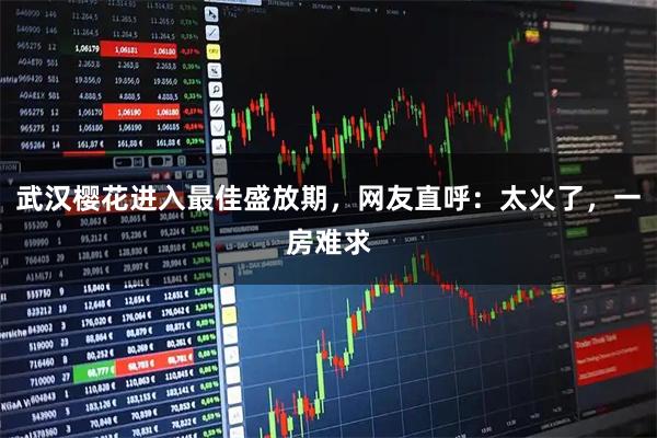 武汉樱花进入最佳盛放期，网友直呼：太火了，一房难求