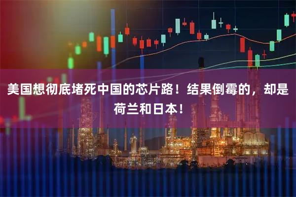 美国想彻底堵死中国的芯片路!结果倒霉的,却是荷兰和日本!