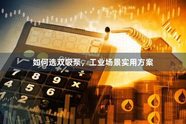 如何选双吸泵，工业场景实用方案